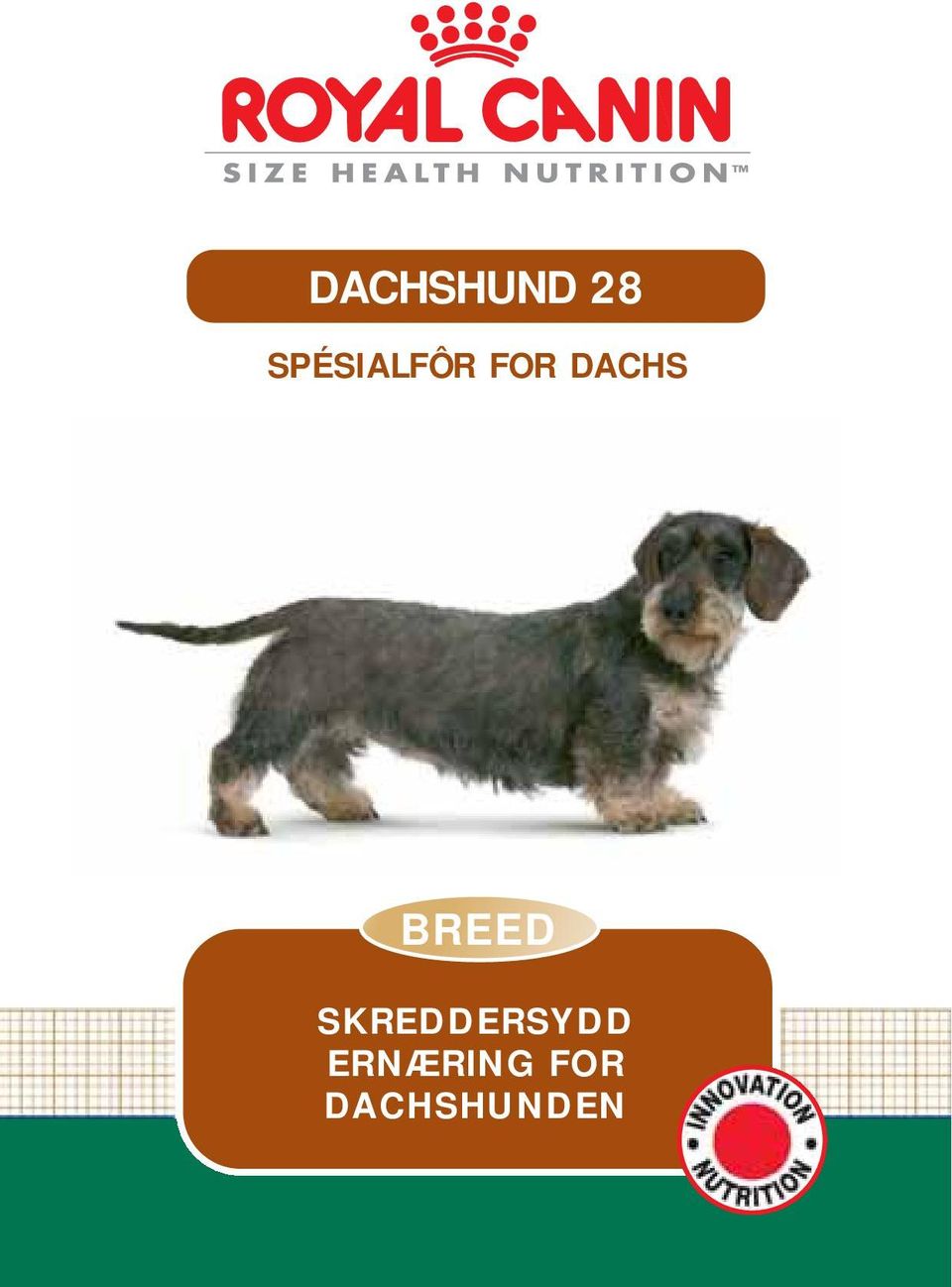 DACHS BREED