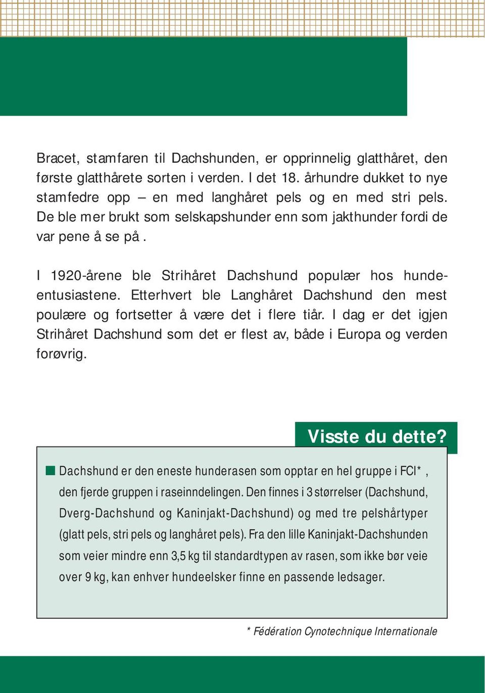 Etterhvert ble Langhåret Dachshund den mest poulære og fortsetter å være det i flere tiår. I dag er det igjen Strihåret Dachshund som det er flest av, både i Europa og verden forøvrig.