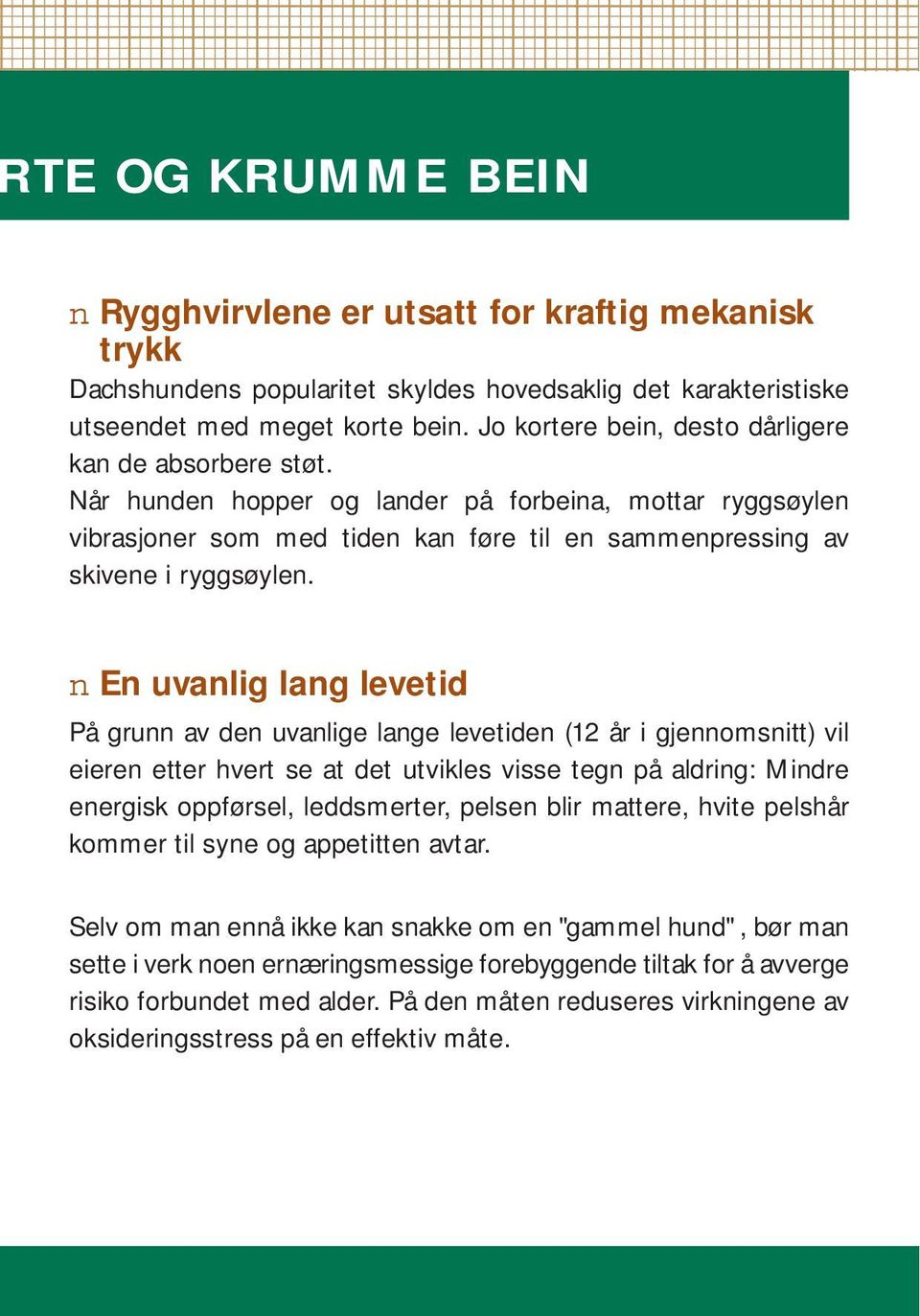 n En uvanlig lang levetid På grunn av den uvanlige lange levetiden (12 år i gjennomsnitt) vil eieren etter hvert se at det utvikles visse tegn på aldring: Mindre energisk oppførsel, leddsmerter,