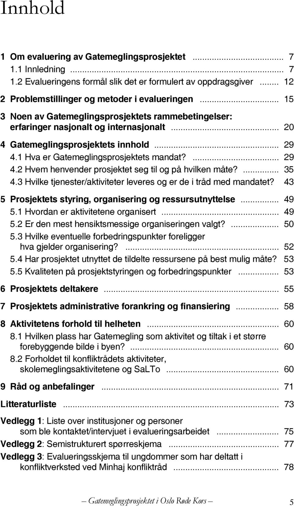 ... 35 4.3 Hvilke tjenester/aktiviteter leveres og er de i tråd med mandatet? 43 5 Prosjektets styring, organisering og ressursutnyttelse... 49 5.1 Hvordan er aktivitetene organisert... 49 5.2 Er den mest hensiktsmessige organiseringen valgt?