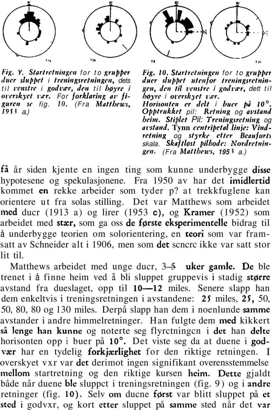 (Fra hfattlews, Iloriso»trtt rr 1Iclt i biter 10'. 195t a.) Opptrrkkrt pil: Rrttrittg og avstarrd brittt. StiPIct Pil: Trenirrgsretairtg og ai+slatrrl.