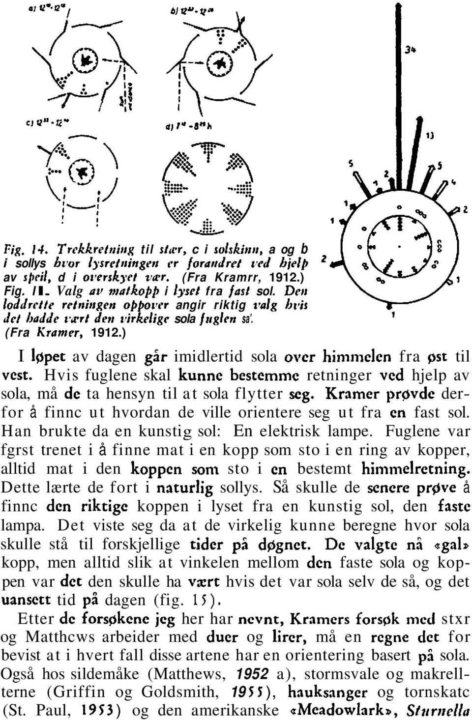 ) I Igpet av dagen gir imidlertid sola over hininielen fra ~ stil t vest. Hvis fuglene skal kunne bestemme retninger ved hjelp av sola, må de ta hensyn til at sola flytter seg.