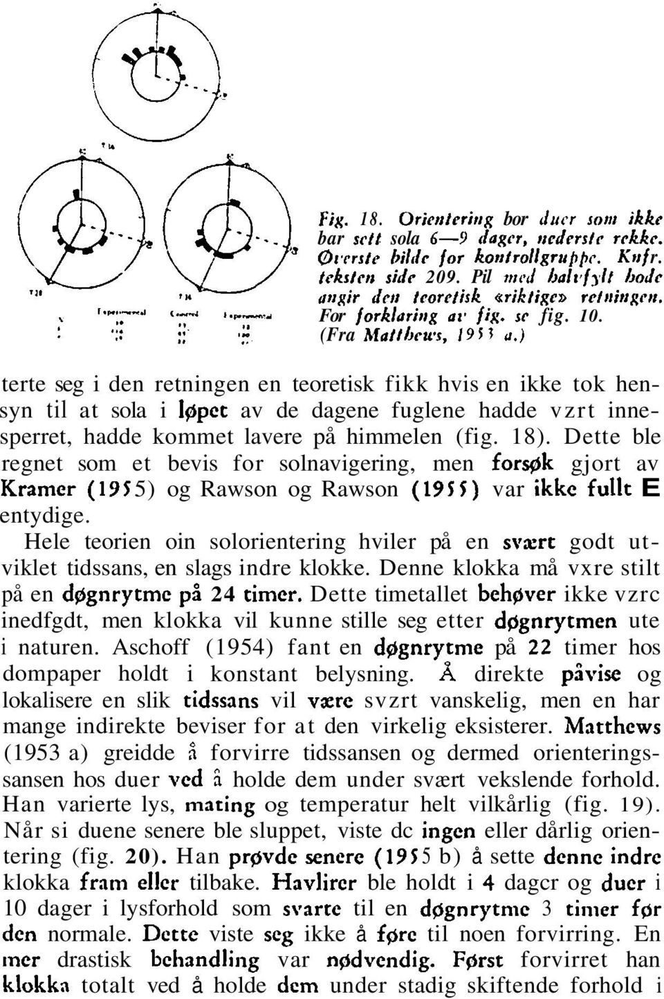 ) terte seg i den retningen en teoretisk fikk hvis en ikke tok hensyn til at sola i l~pet av de dagene fuglene hadde vzrt innesperret, hadde kommet lavere på himmelen (fig. 18).