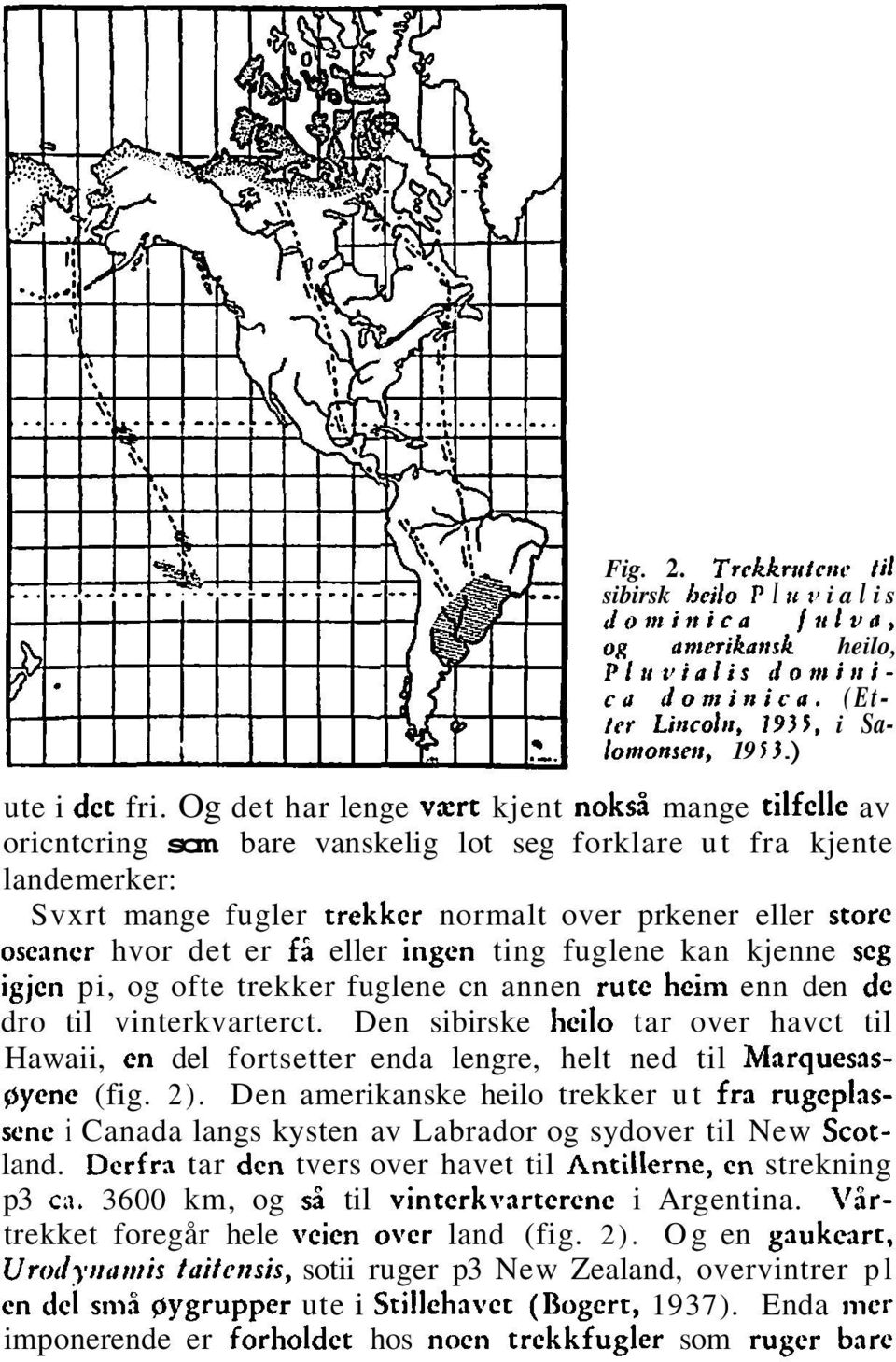 det er fi eller ingen ting fuglene kan kjenne seg igjen pi, og ofte trekker fuglene cn annen rute heim enn den de dro til vinterkvarterct.