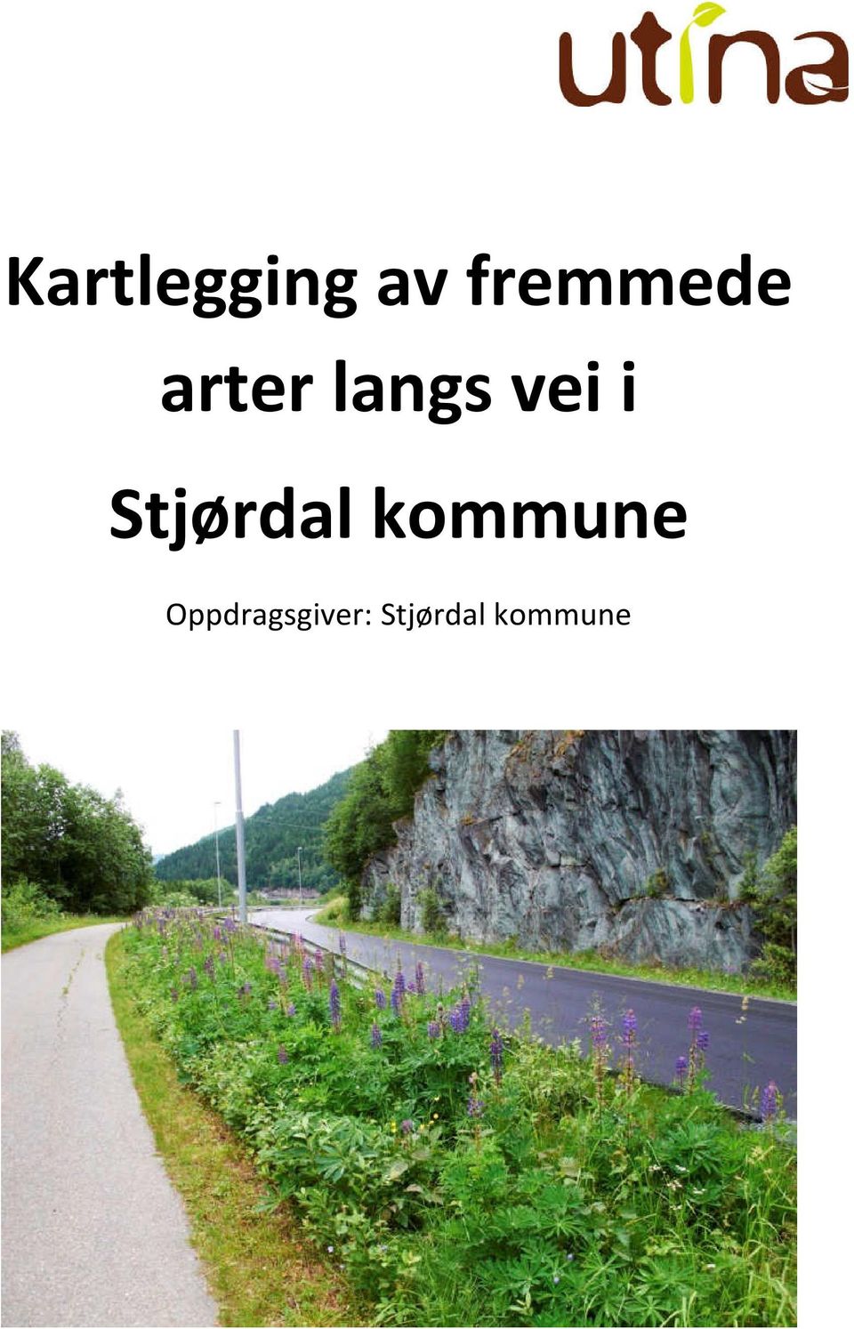 vei i Stjørdal kommune