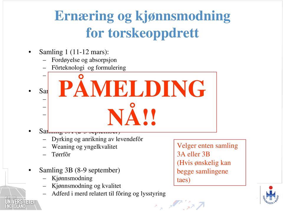 produksjonslidelser NÅ!