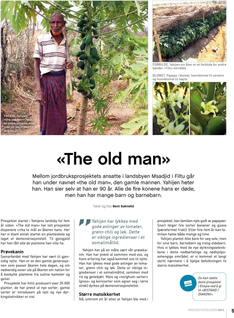 «The old man» Mellom jordbruksprosjektets ansatte i landsbyen Msadjid i Filtu går han under navnet «the old man», den gamle mannen. Yahijen heter han. Han sier selv at han er 90 år.