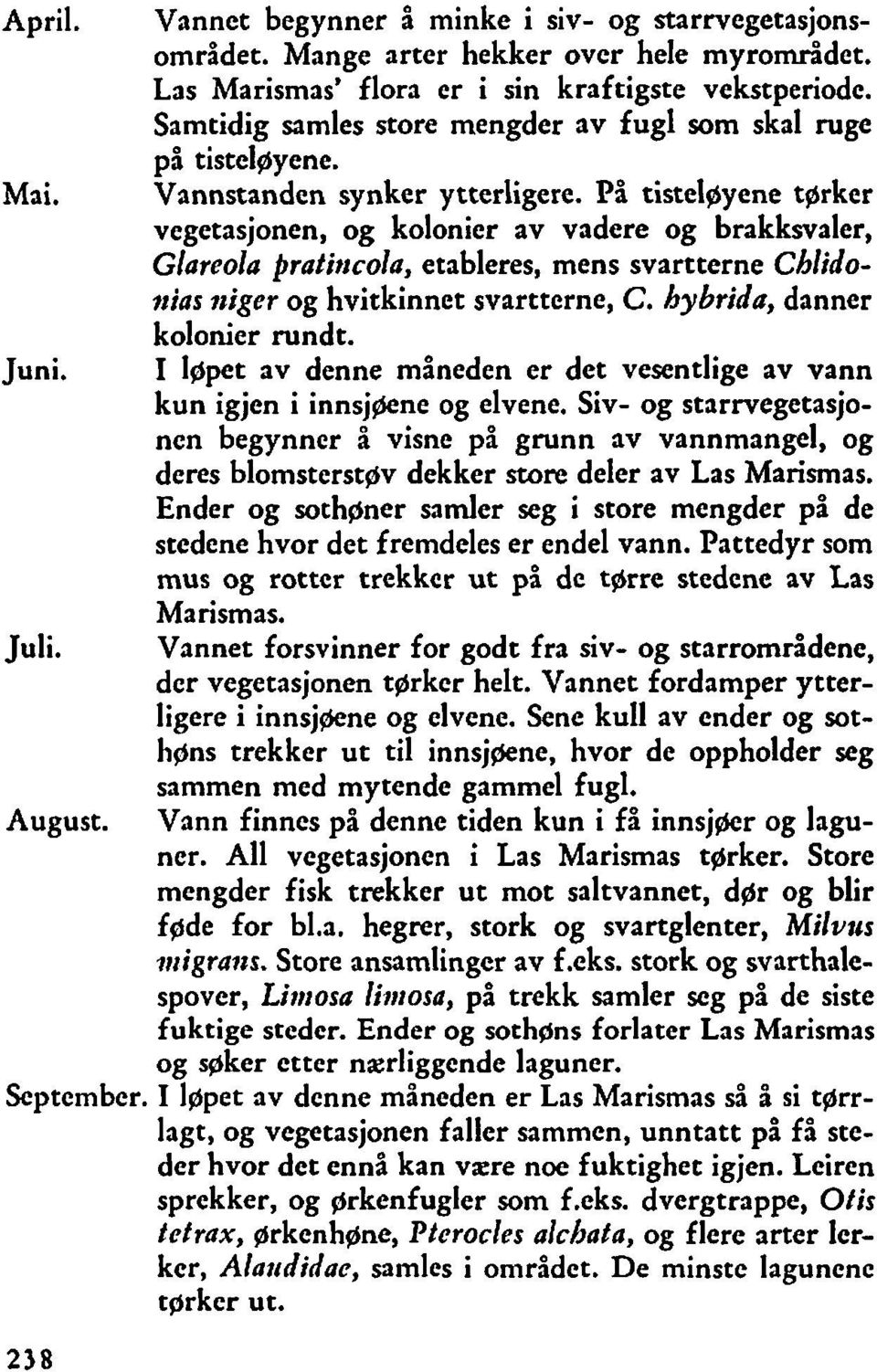 På tistel~yene tørker vegetasjonen, og kolonier av vadere og brakkmaler, Glareola pratincola, etableres, mens svartterne Cblidotrias niger og hvitkinnet svartterne, C. bybrida, danner kolonier rundt.