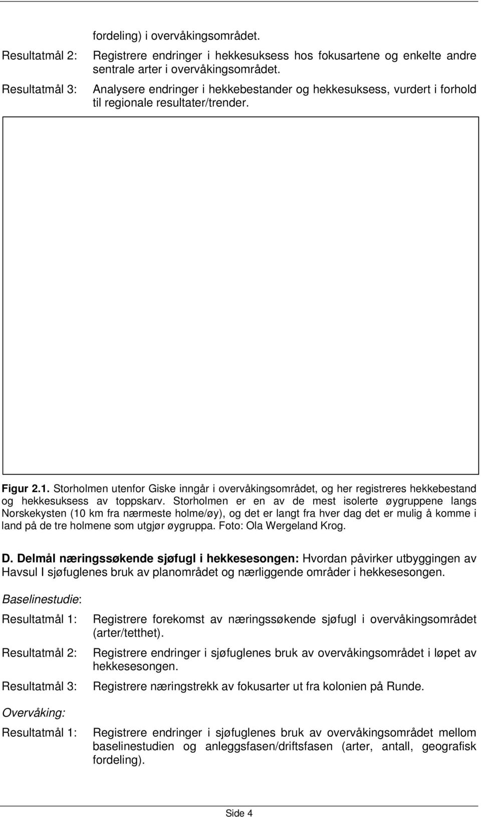 Storholmen utenfor Giske inngår i overvåkingsområdet, og her registreres hekkebestand og hekkesuksess av toppskarv.