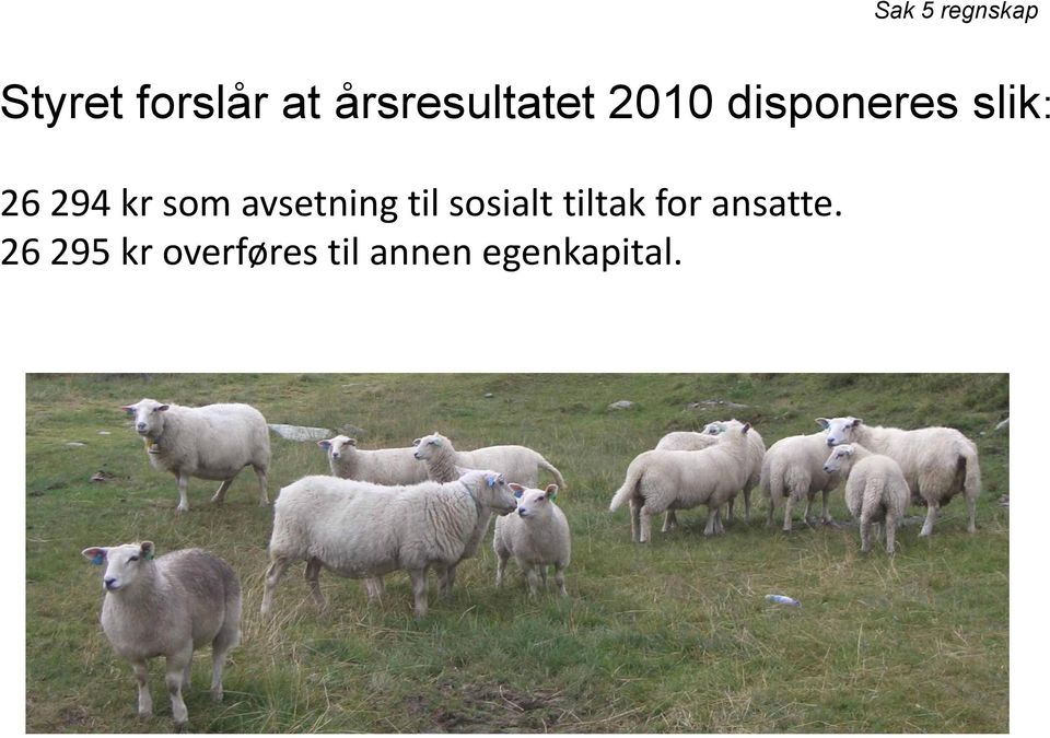 294 kr som avsetning til sosialt tiltak