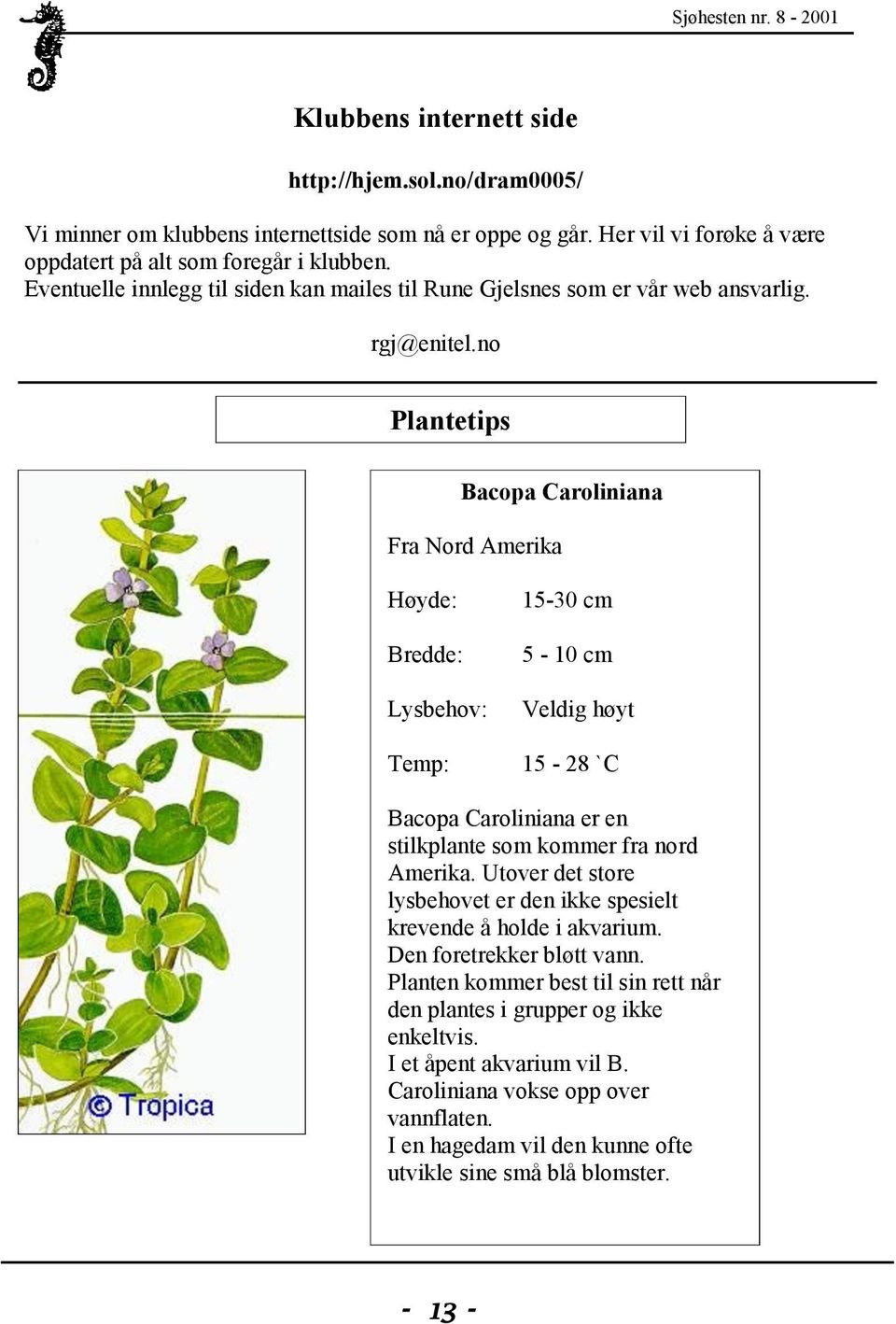 no Plantetips Bacopa Caroliniana Fra Nord Amerika Høyde: Bredde: Lysbehov: Temp: 15-30 cm 5-10 cm Veldig høyt 15-28 `C Bacopa Caroliniana er en stilkplante som kommer fra nord Amerika.