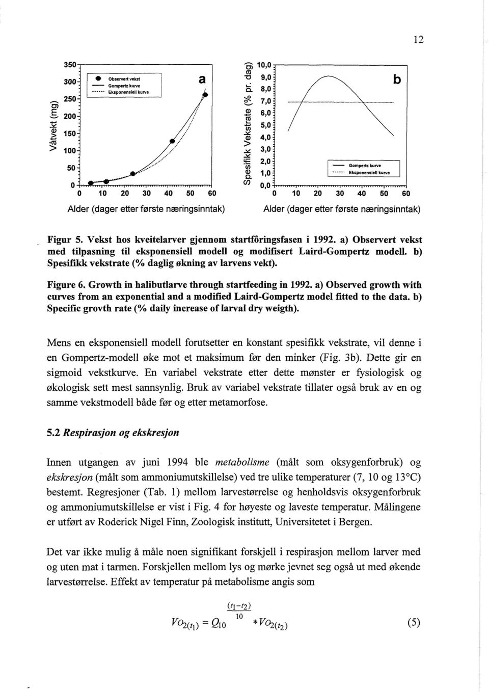 Growth in halibutlarve through startfeeding in 1992. a) Observed growth with curves from an exponential and a modified Laird-Gompertz model fitted to the data.