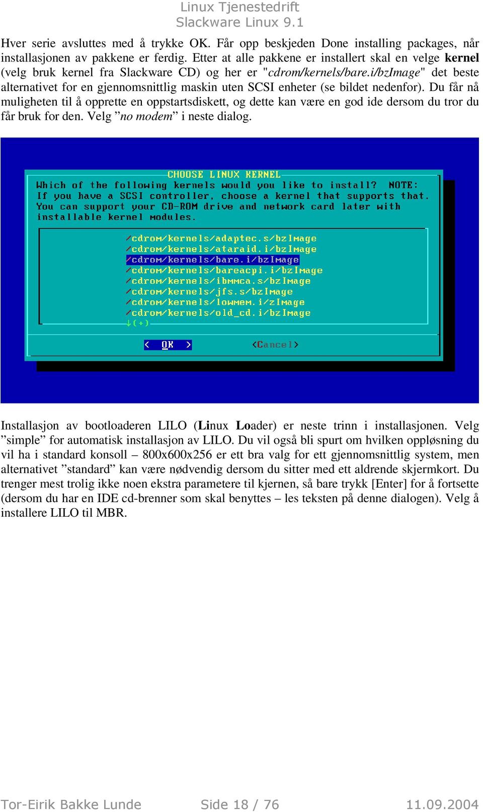 i/bzimage" det beste alternativet for en gjennomsnittlig maskin uten SCSI enheter (se bildet nedenfor).