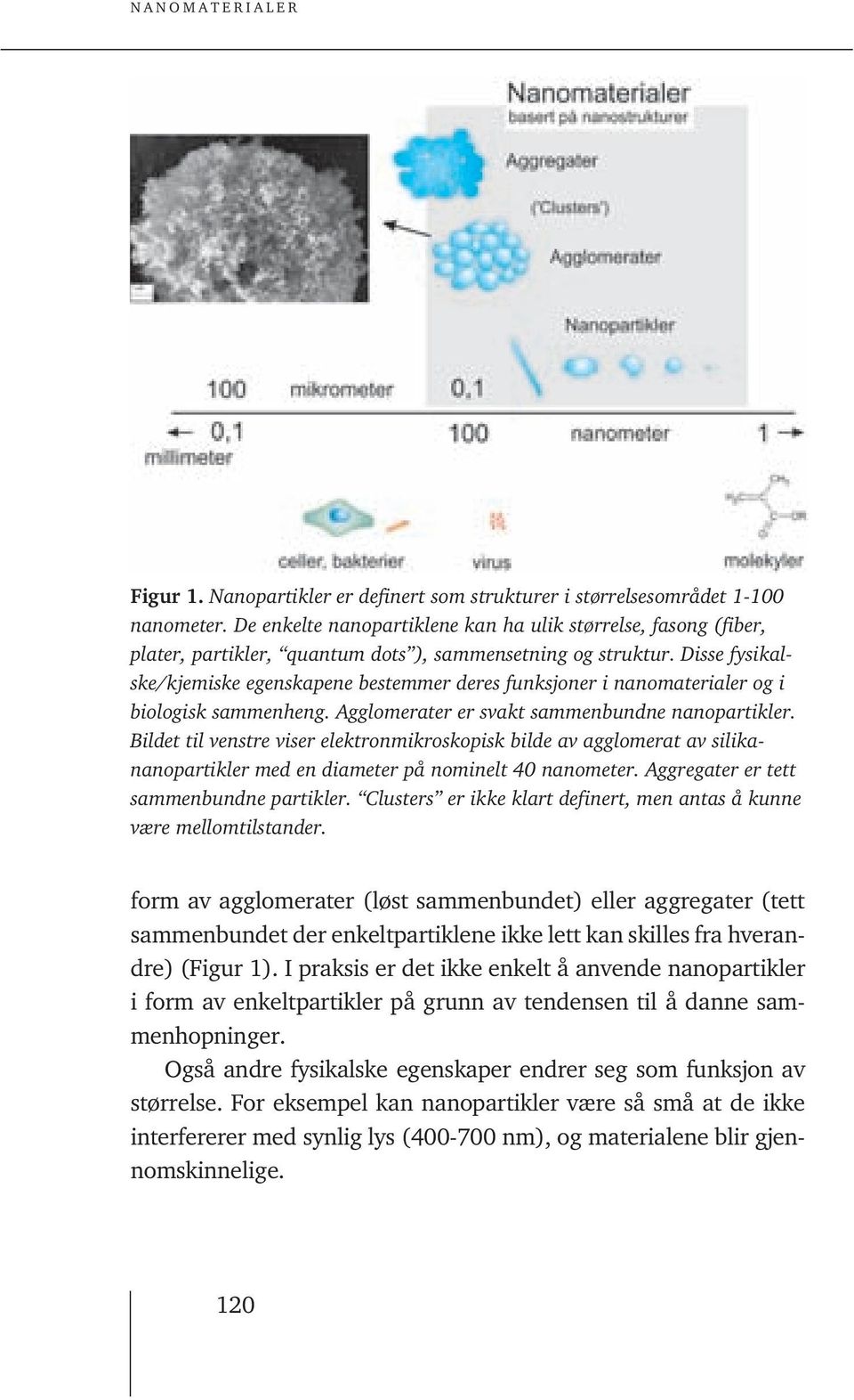 Disse fysikalske/kjemiske egenskapene bestemmer deres funksjoner i nanomaterialer og i biologisk sammenheng. Agglomerater er svakt sammenbundne nanopartikler.