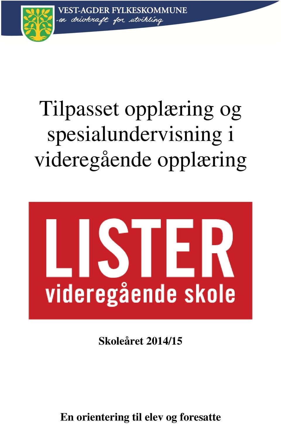 videregående opplæring