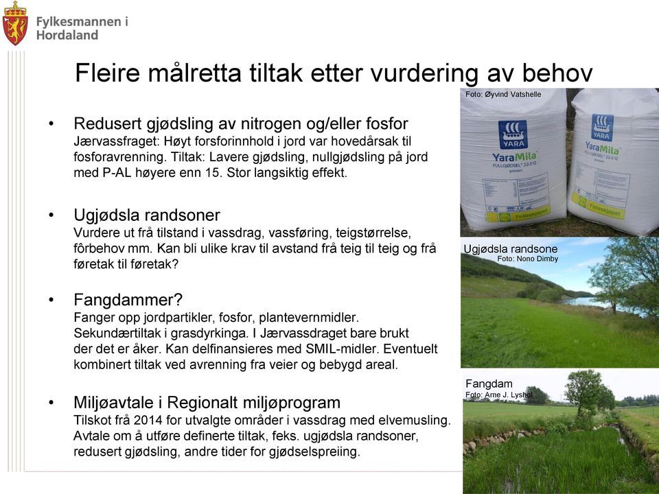 Foto: Øyvind Vatshelle Ugjødsla randsoner Vurdere ut frå tilstand i vassdrag, vassføring, teigstørrelse, fôrbehov mm. Kan bli ulike krav til avstand frå teig til teig og frå føretak til føretak?