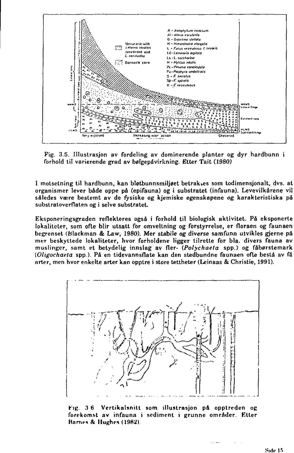 Levevilkårene vil således være bestemt av de fysiske og kjemiske egenskapene og karakteristiska på substrato vedla ten og i selve substratet.