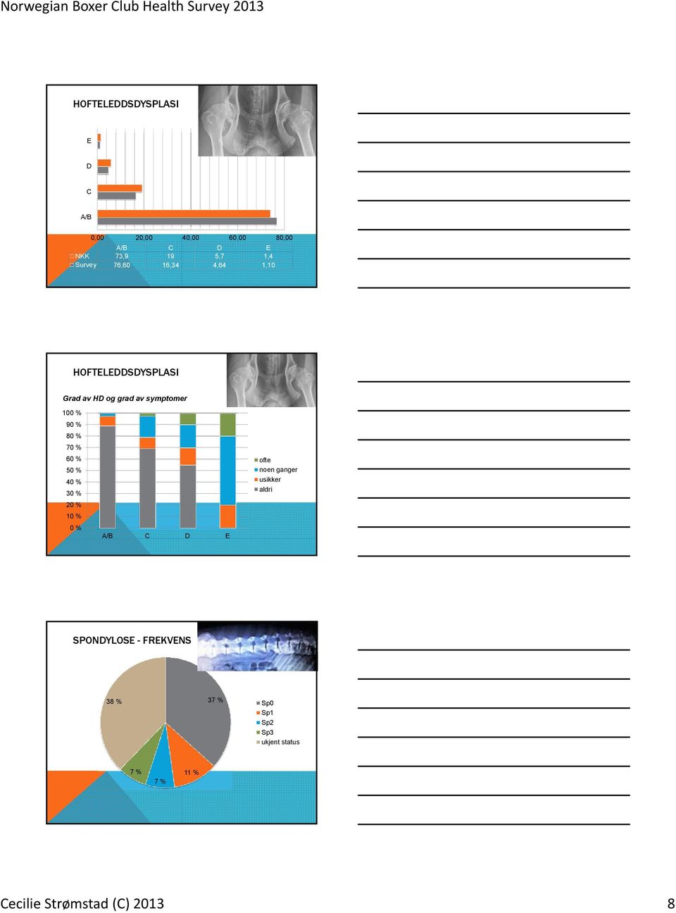 80 % 70 % 60 % 50 % 40 % 30 % 20 % 10 % 0 % A/B C D E ofte noen ganger usikker aldri