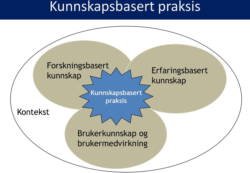 Kunnskapsbasert praksis