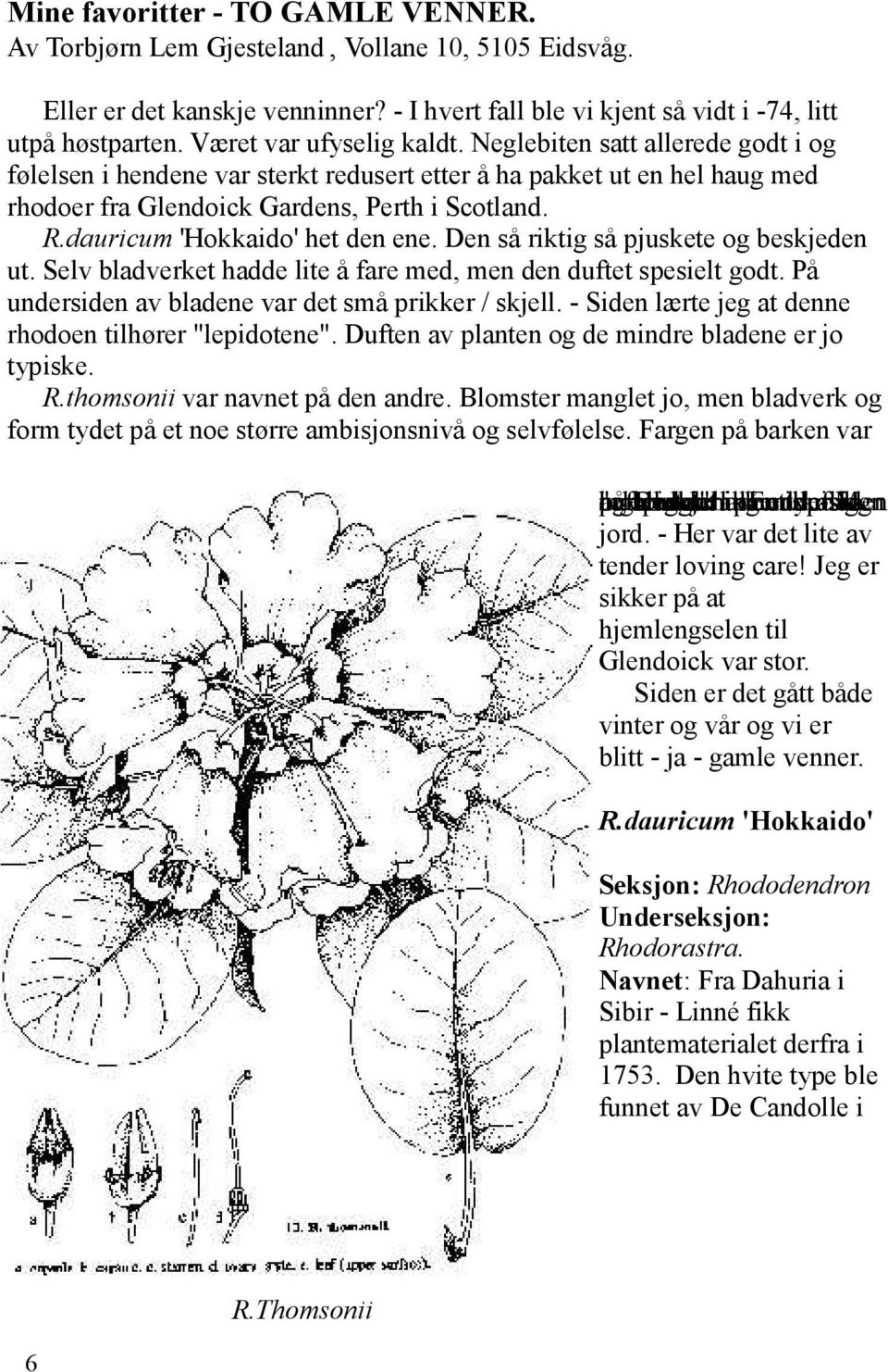 dauricum 'Hokkaido' het den ene. Den så riktig så pjuskete og beskjeden ut. Selv bladverket hadde lite å fare med, men den duftet spesielt godt. På undersiden av bladene var det små prikker / skjell.