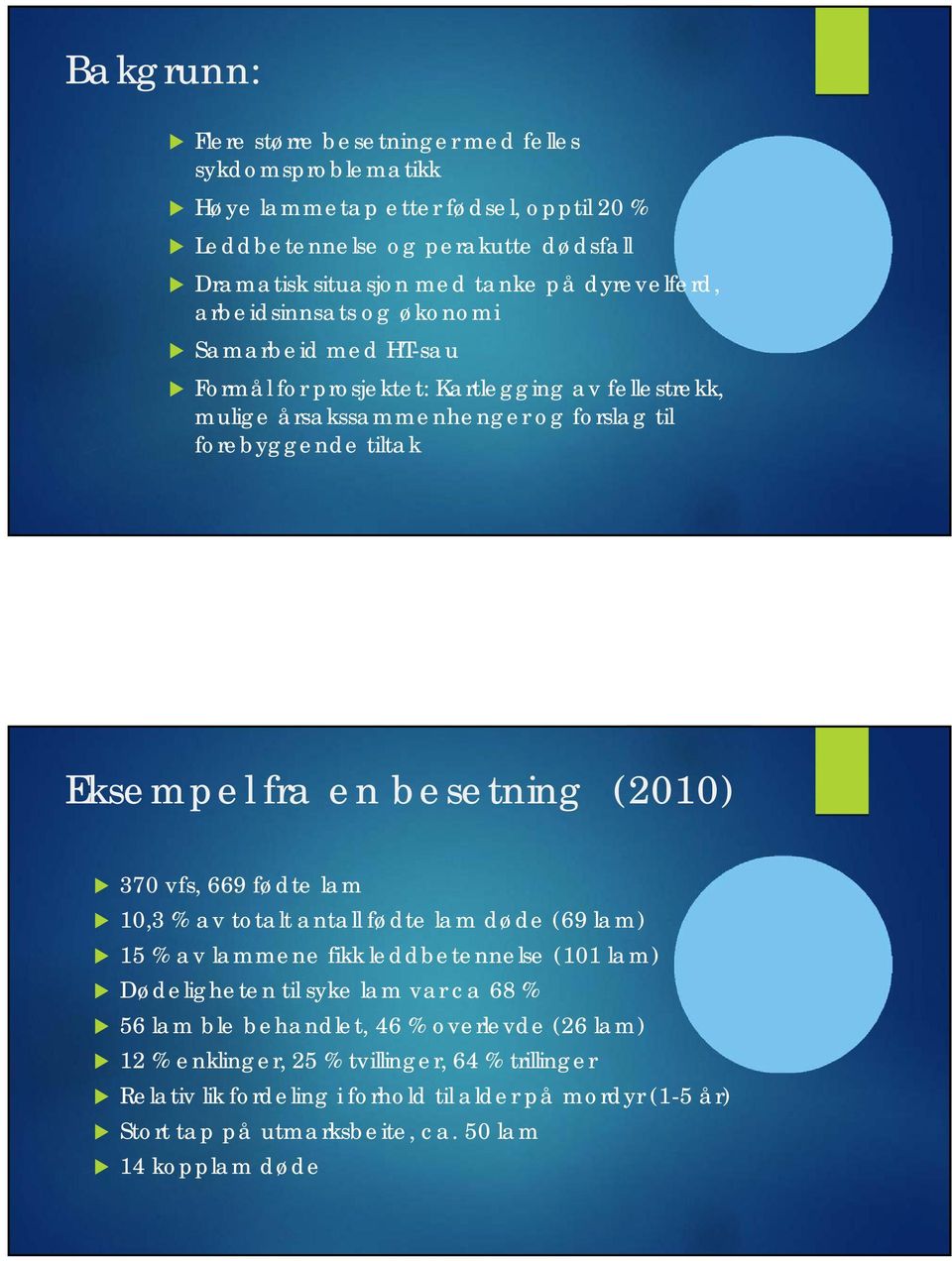 en besetning (2010) 370 vfs, 669 fødte lam 10,3 % av totalt antall fødte lam døde (69 lam) 15 % av lammene fikk leddbetennelse (101 lam) Dødeligheten til syke lam var ca 68 % 56 lam ble