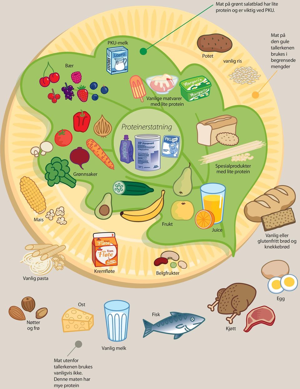 protein Proteinerstatning Grønnsaker Spesialprodukter med lite protein Mais Frukt Juice Vanlig eller glutenfritt
