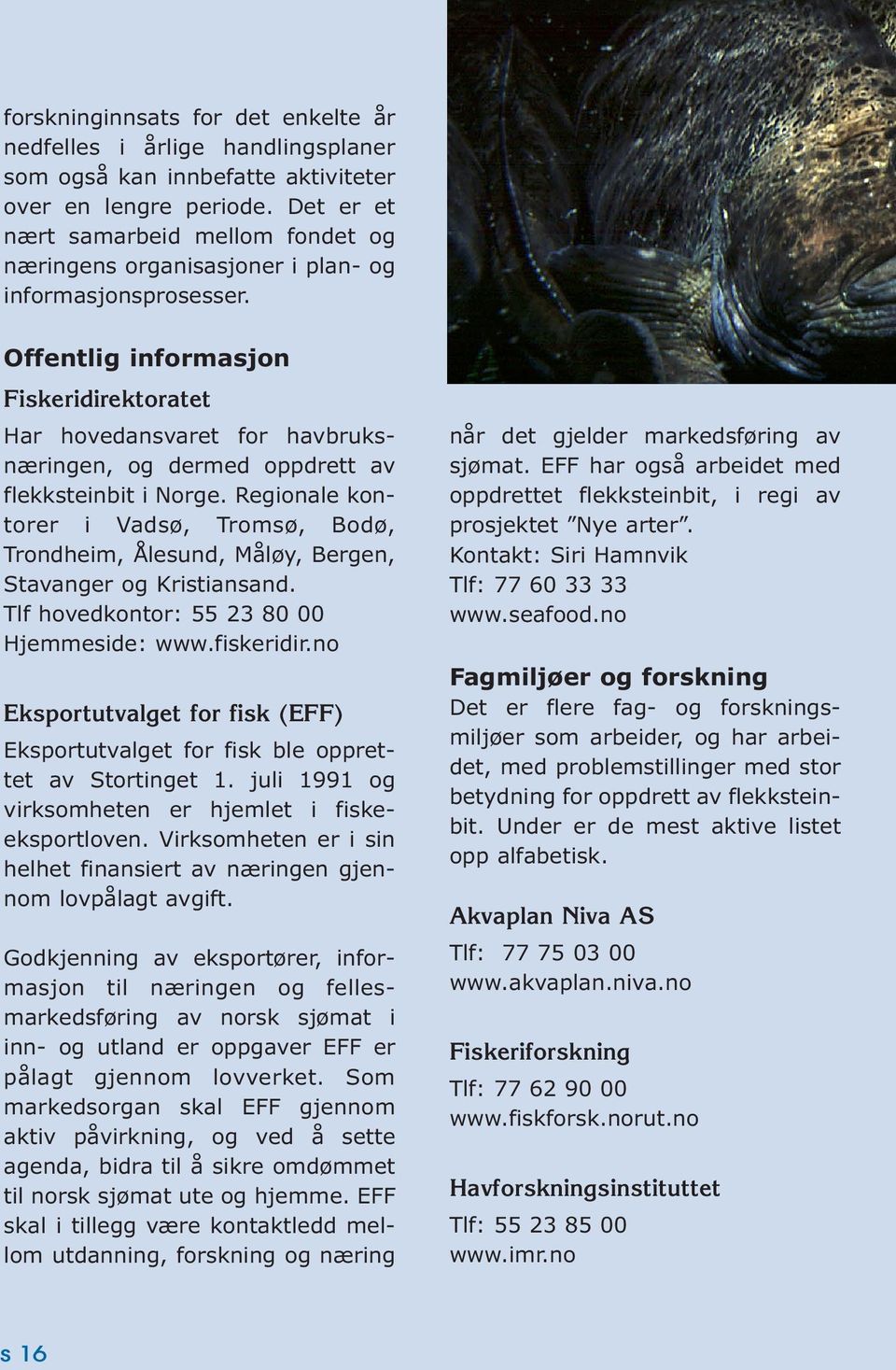 Offentlig informasjon Fiskeridirektoratet Har hovedansvaret for havbruksnæringen, og dermed oppdrett av flekksteinbit i Norge.