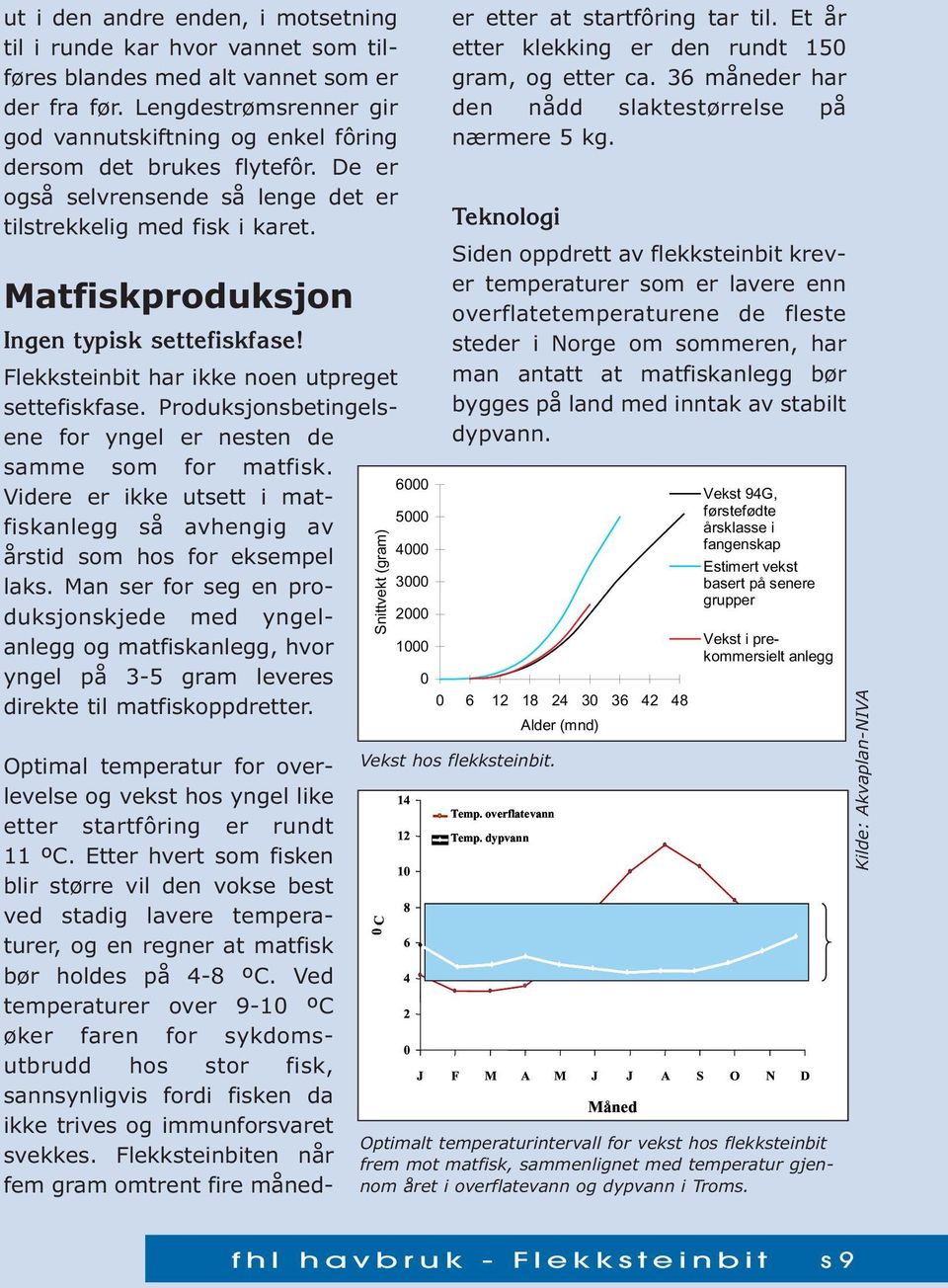 Matfiskproduksjon Ingen typisk settefiskfase! Flekksteinbit har ikke noen utpreget settefiskfase. Produksjonsbetingelsene for yngel er nesten de samme som for matfisk.