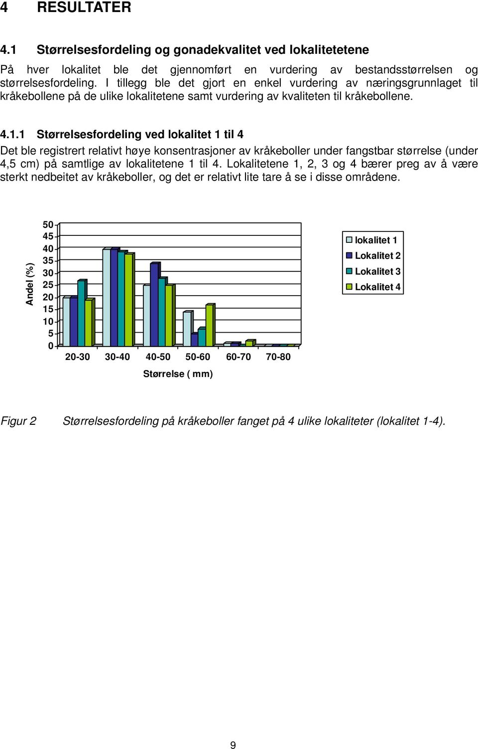 1 Størrelsesfordeling ved lokalitet 1 til 4 Det ble registrert relativt høye konsentrasjoner av kråkeboller under fangstbar størrelse (under 4,5 cm) på samtlige av lokalitetene 1 til 4.