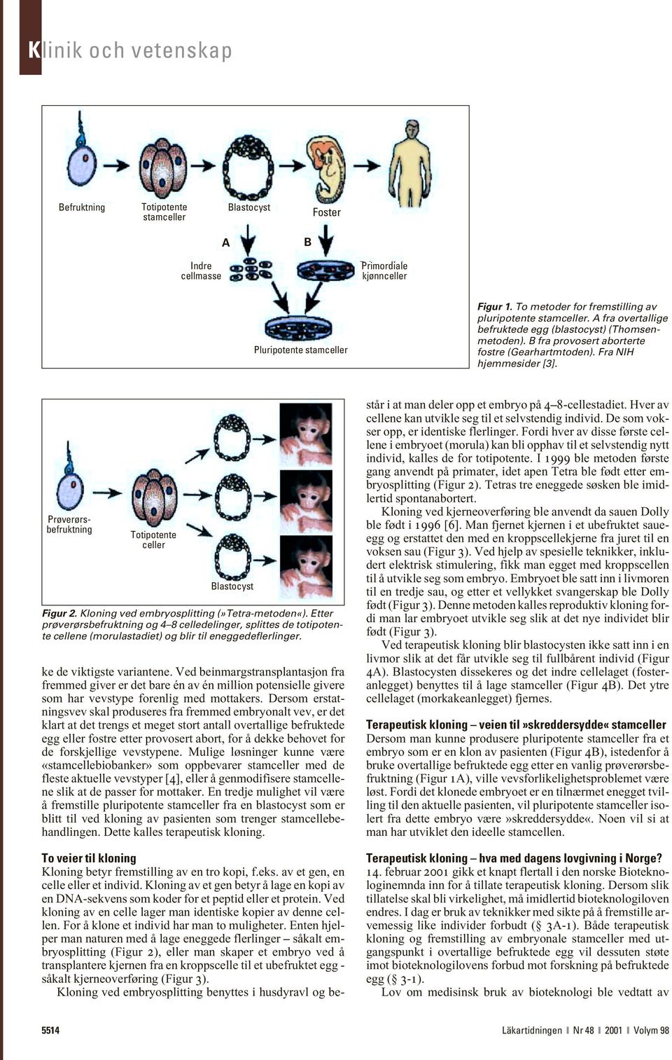 Kloning ved embryosplitting (»Tetra-metoden«). Etter prøverørsbefruktning og 4 8 celledelinger, splittes de totipotente cellene (morulastadiet) og blir til eneggedeflerlinger.