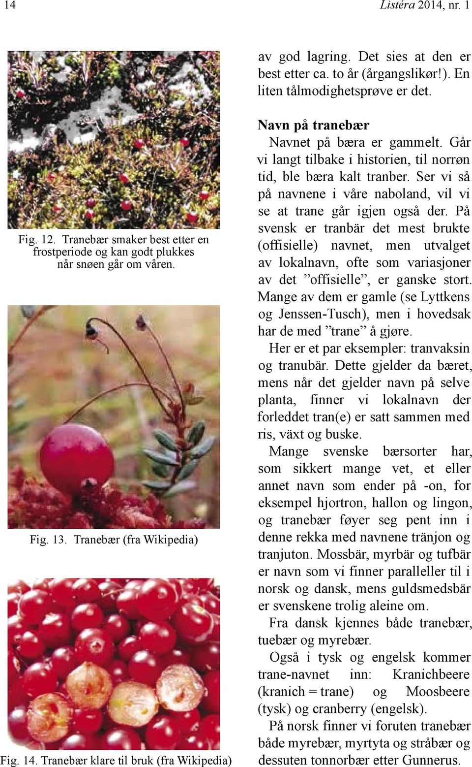 Tranebær klare til bruk (fra Wikipedia) Navn på tranebær Navnet på bæra er gammelt. Går vi langt tilbake i historien, til norrøn tid, ble bæra kalt tranber.