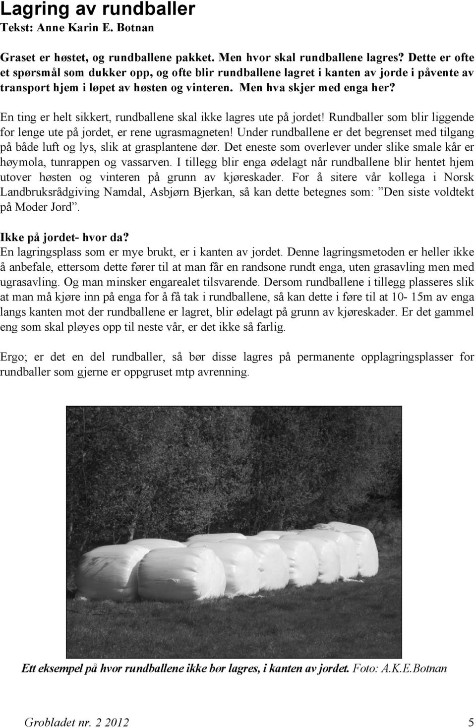 En ting er helt sikkert, rundballene skal ikke lagres ute på jordet! Rundballer som blir liggende for lenge ute på jordet, er rene ugrasmagneten!