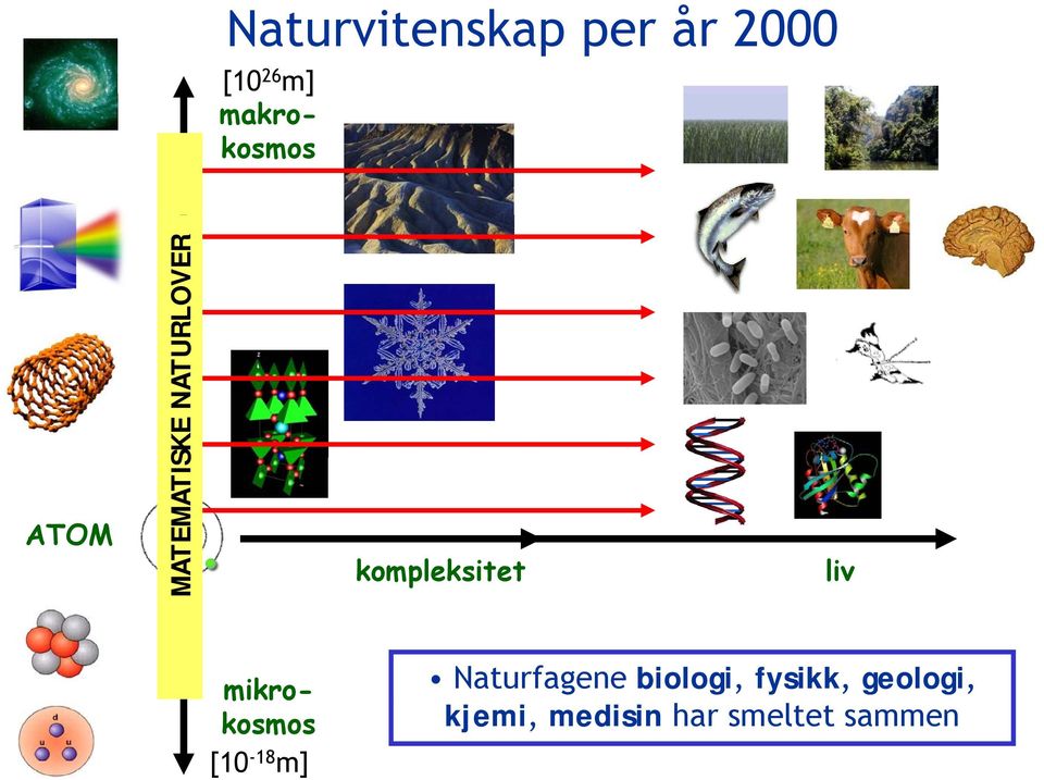 makrokosmos mikro- kosmos [10-18 m] Naturfagene