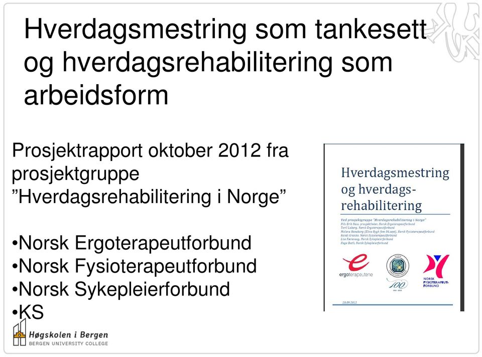 prosjektgruppe Hverdagsrehabilitering i Norge Norsk