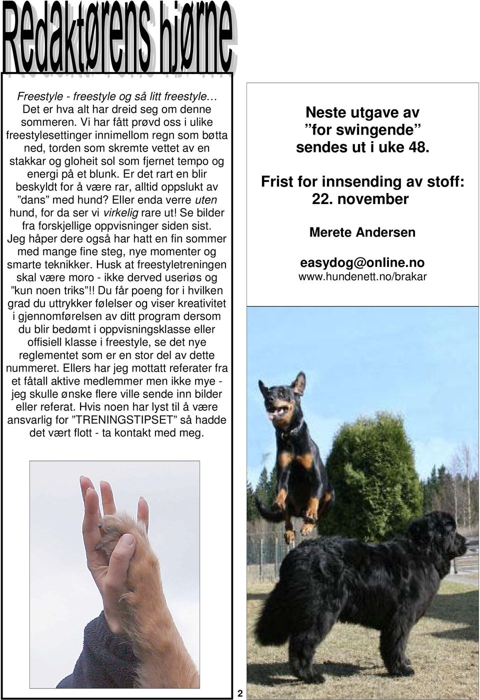 Er det rart en blir beskyldt for å være rar, alltid oppslukt av dans med hund? Eller enda verre uten hund, for da ser vi virkelig rare ut! Se bilder fra forskjellige oppvisninger siden sist.