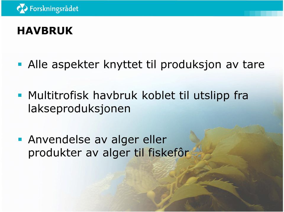 koblet til utslipp fra lakseproduksjonen