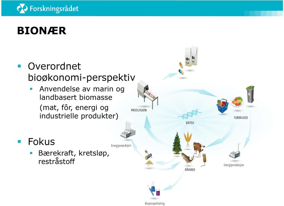 biomasse (mat, fôr, energi og