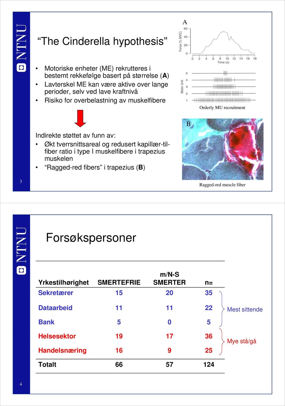 kapillær-tilfiber ratio i type I muskelfibere i trapezius muskelen Ragged-red fibers i trapezius (B) B 3 Ragged-red muscle fiber Forsøkspersoner m/n-s