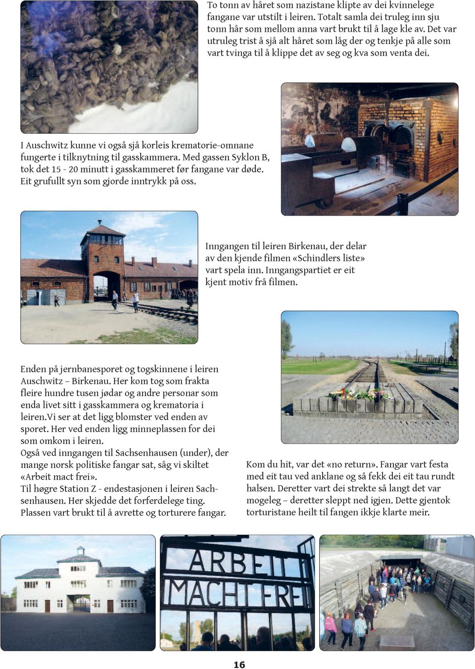 I Auschwitz kunne vi også sjå korleis krematorie-omnane fungerte i tilknytning til gasskammera. Med gassen Syklon B, tok det 15-20 minutt i gasskammeret før fangane var døde.