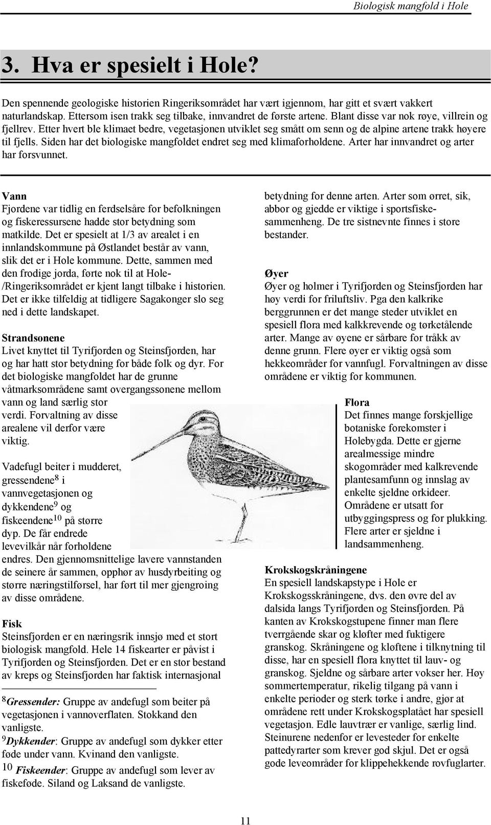 Siden har det biologiske mangfoldet endret seg med klimaforholdene. Arter har innvandret og arter har forsvunnet.