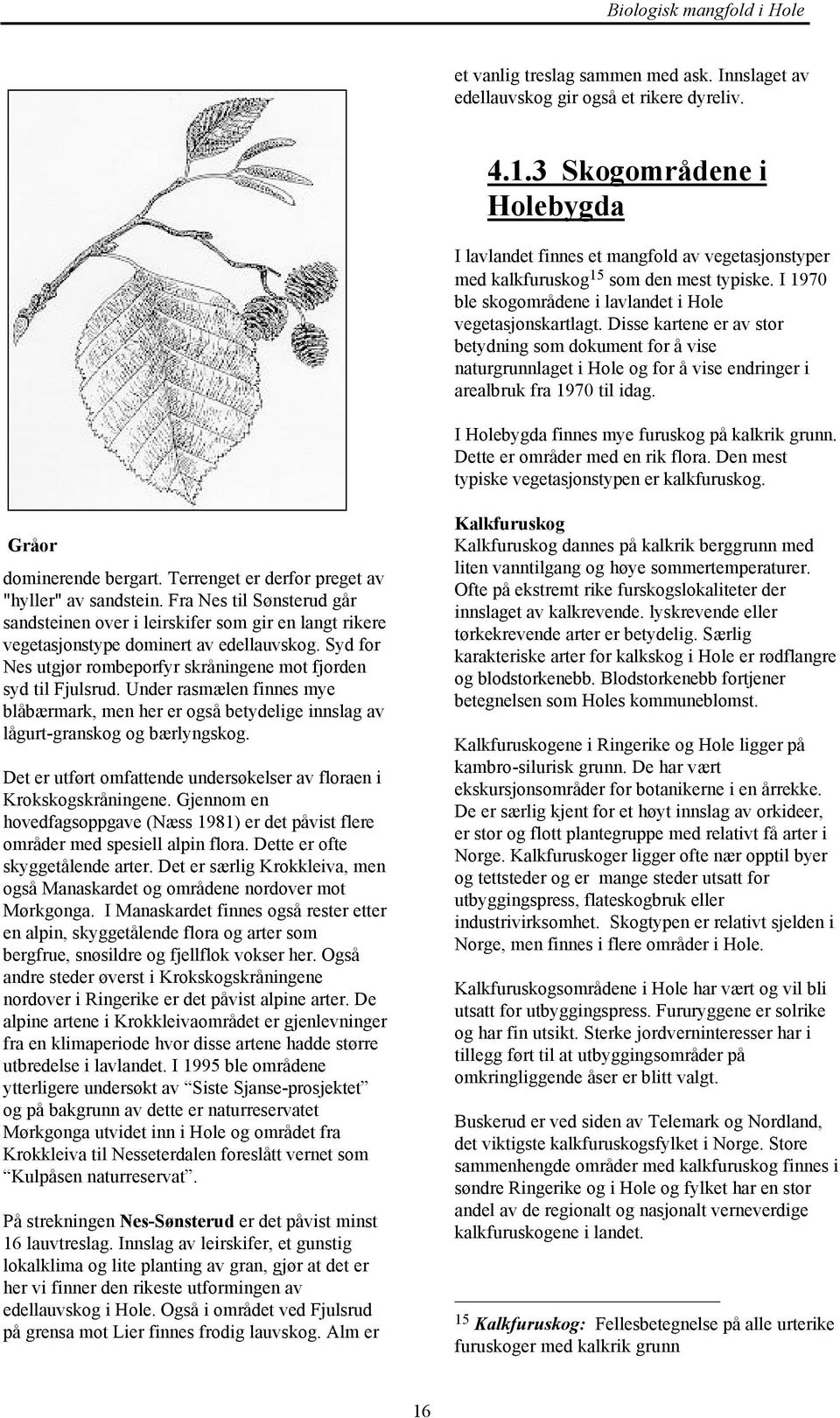 Disse kartene er av stor betydning som dokument for å vise naturgrunnlaget i Hole og for å vise endringer i arealbruk fra 1970 til idag. I Holebygda finnes mye furuskog på kalkrik grunn.