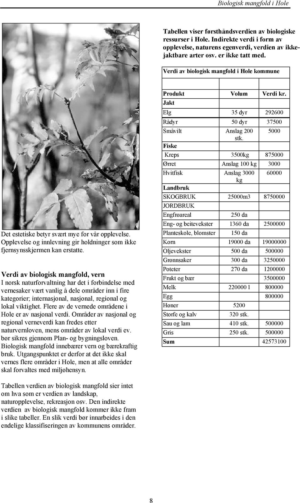 Verdi av biologisk mangfold, vern I norsk naturforvaltning har det i forbindelse med vernesaker vært vanlig å dele områder inn i fire kategorier; internasjonal, nasjonal, regional og lokal viktighet.