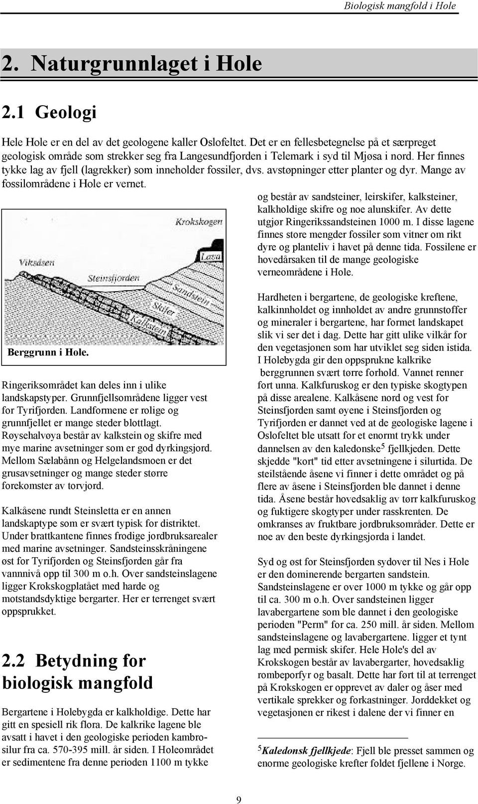 Her finnes tykke lag av fjell (lagrekker) som inneholder fossiler, dvs. avstøpninger etter planter og dyr. Mange av fossilområdene i Hole er vernet.