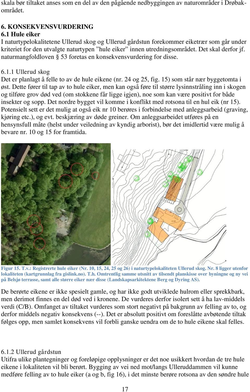 naturmangfoldloven 53 foretas en konsekvensvurdering for disse. 6.1.1 Ullerud skog Det er planlagt å felle to av de hule eikene (nr. 24 og 25, fig. 15) som står nær byggetomta i øst.