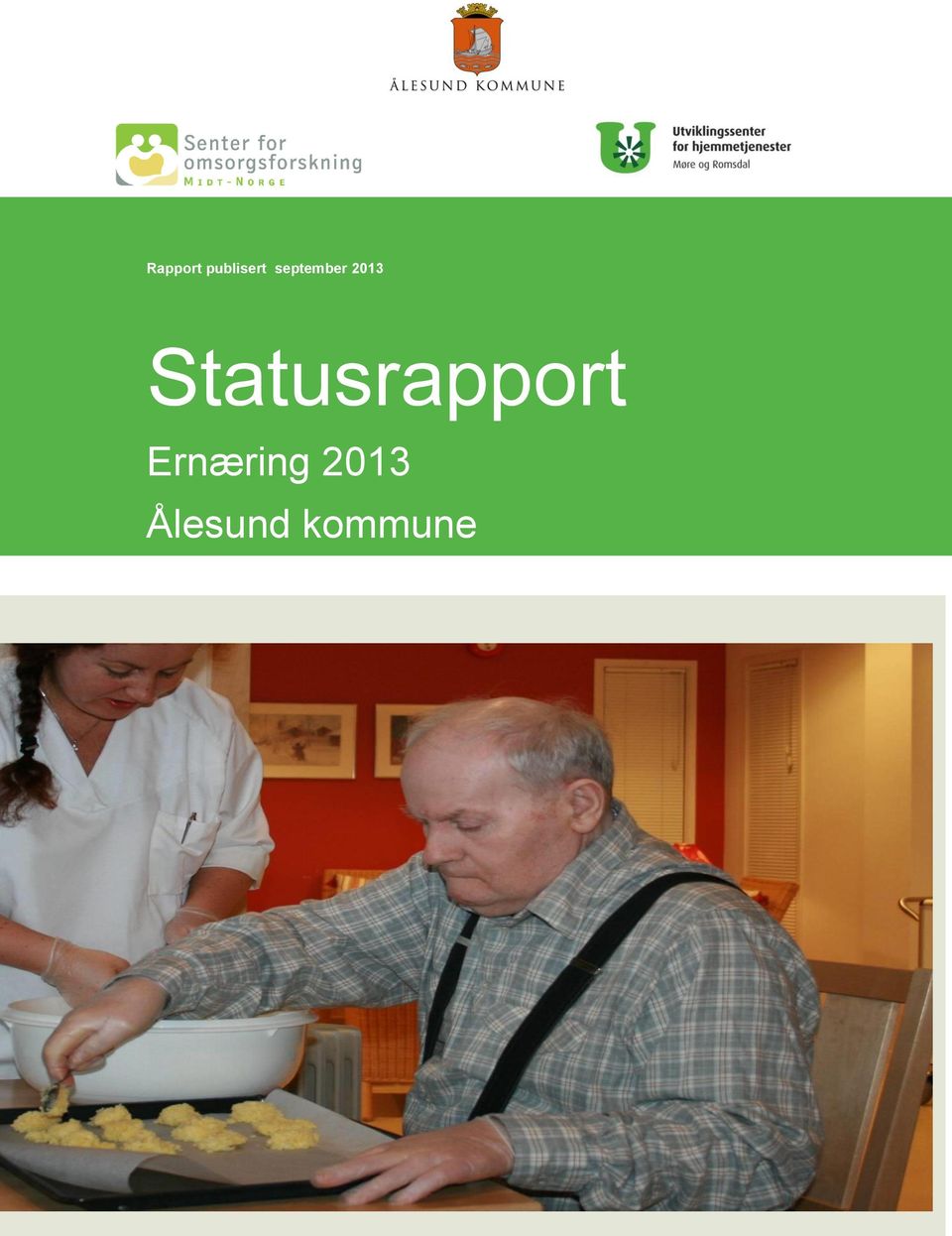 Statusrapport