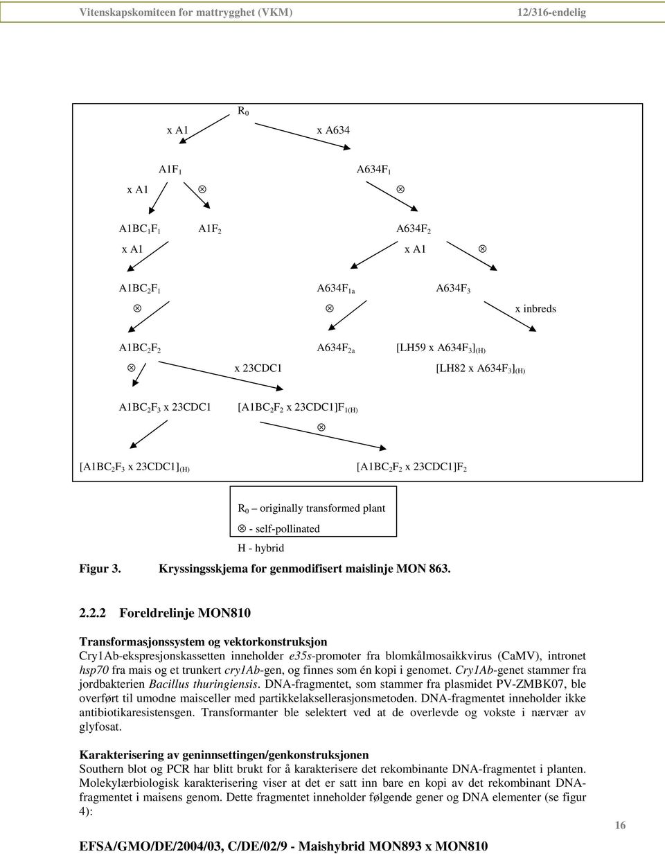 Kryssingsskjema for genmodifisert maislinje MON 863. 2.