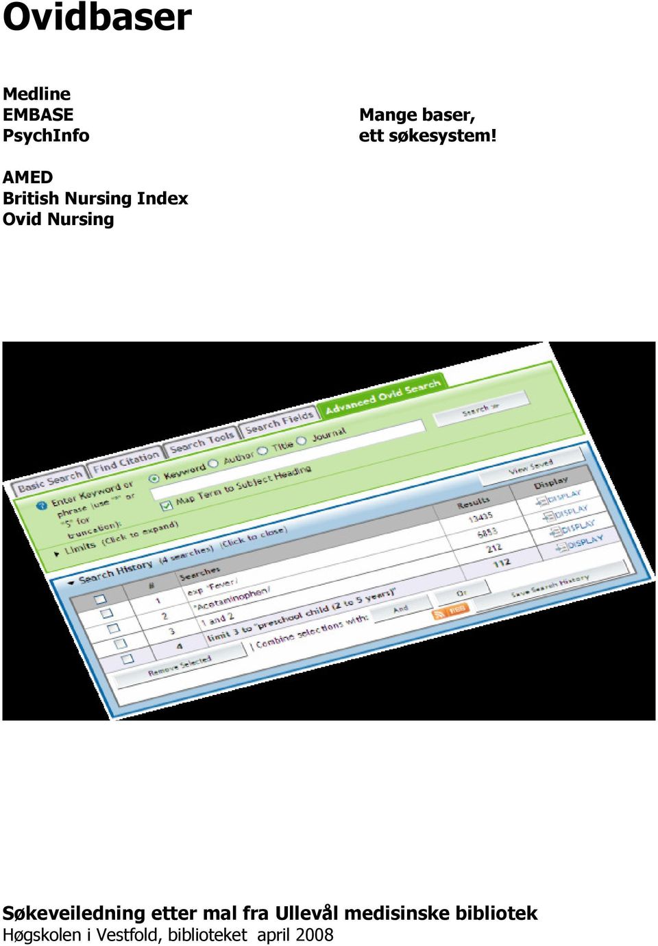 AMED British Nursing Index Ovid Nursing