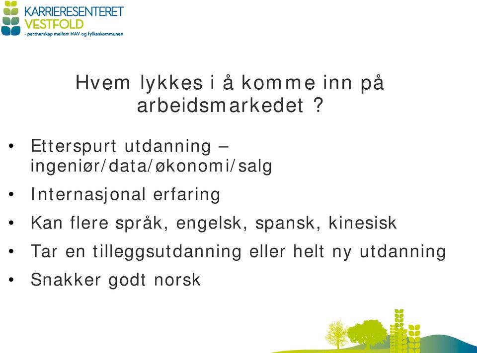 Internasjonal erfaring Kan flere språk, engelsk, spansk,