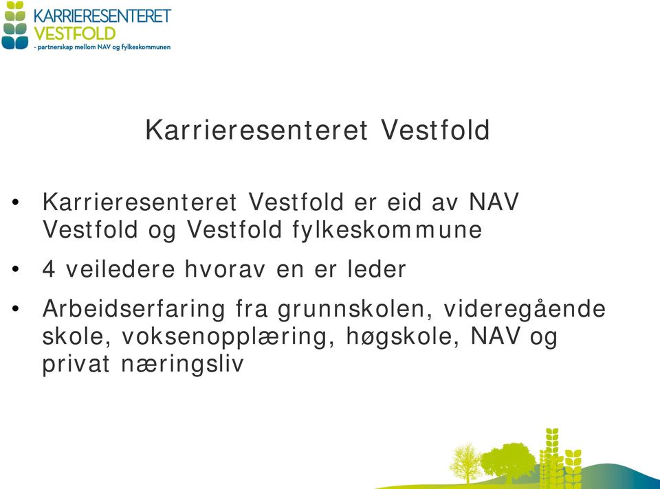 hvorav en er leder Arbeidserfaring fra grunnskolen,