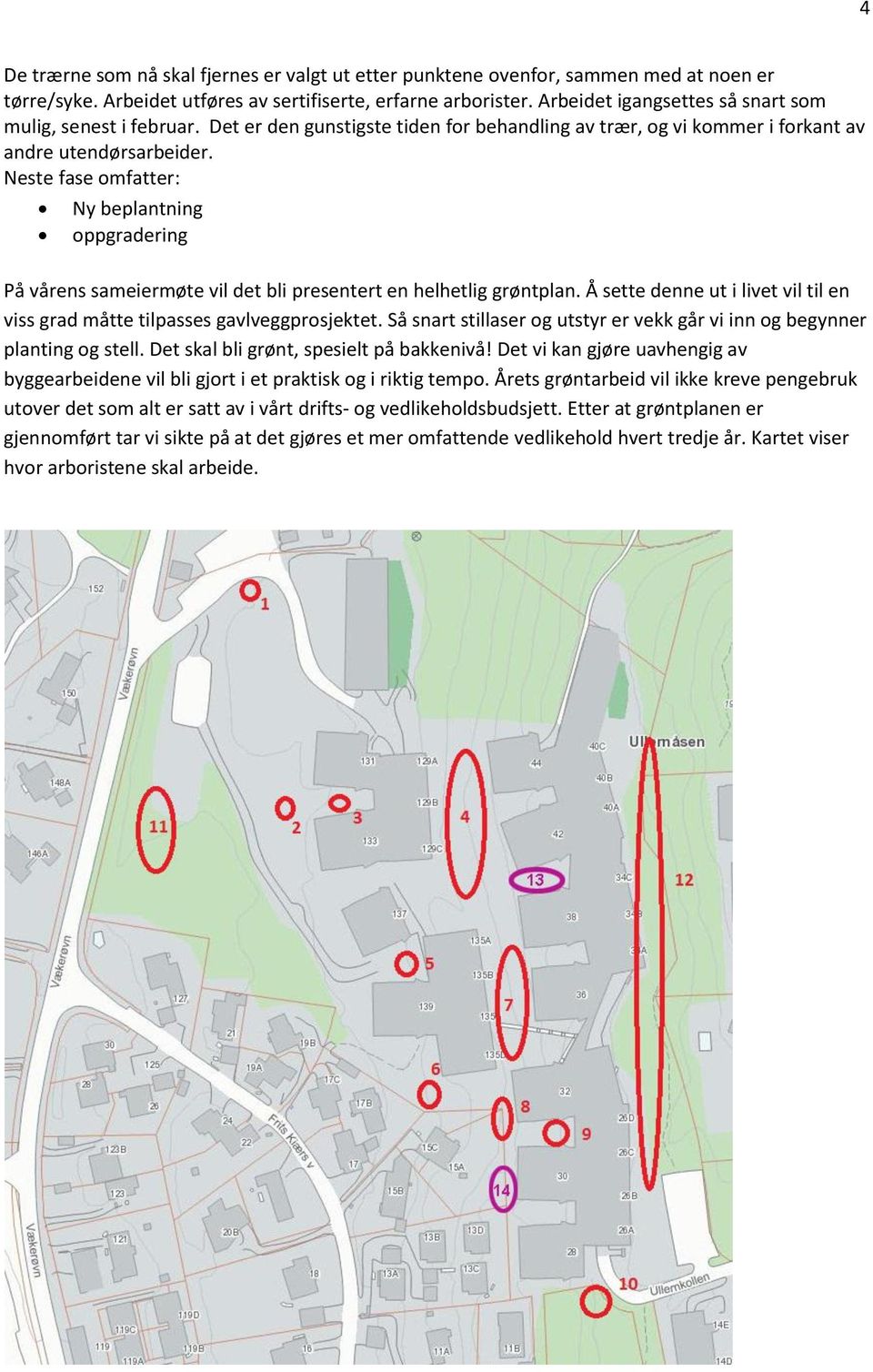 Neste fase omfatter: Ny beplantning oppgradering På vårens sameiermøte vil det bli presentert en helhetlig grøntplan. Å sette denne ut i livet vil til en viss grad måtte tilpasses gavlveggprosjektet.